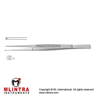 Taylor Dissecting Forceps With Dissector End - 1 x 2 Teeth Stainless Steel, 17 cm - 6 3/4" Taylor Dissecting Forceps With Dissector End - 1 x 2 Teeth Stainless Steel, 17 cm - 6 3/4"